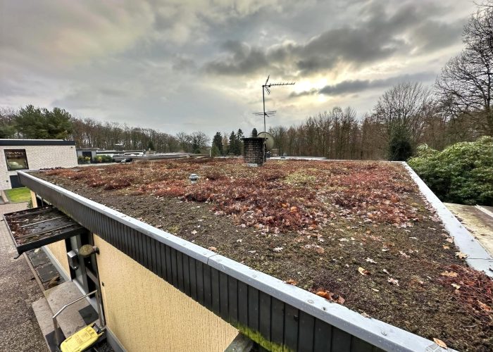 Gepflegter Bungalow in sehr ruhiger Waldlage von Brake
